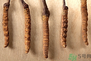 冬蟲夏草真假怎么鑒別？冬蟲夏草怎么吃效果最好？
