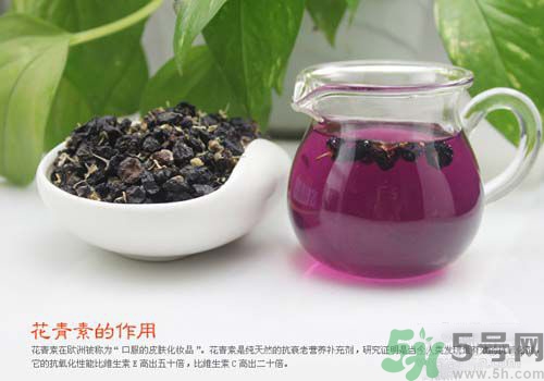 黑枸杞泡水是什么顏色？黑枸杞泡水是紫色的嗎？