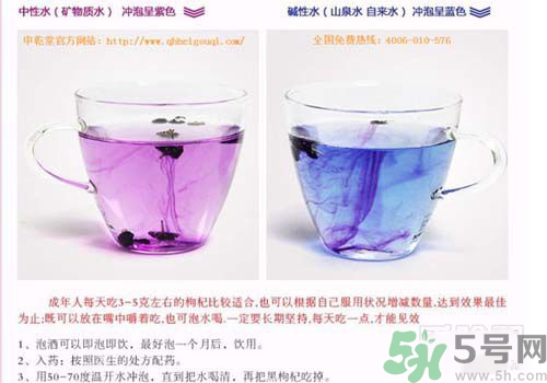 黑枸杞怎么辨別真假？怎么挑選黑枸杞？