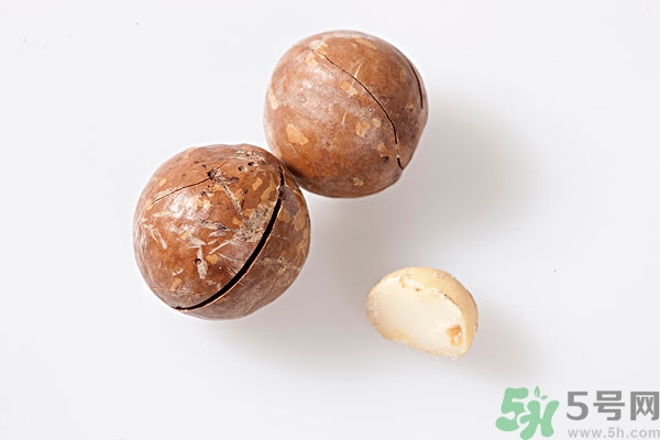 夏威夷果什么時(shí)候成熟上市？腰果和夏威夷果的區(qū)別