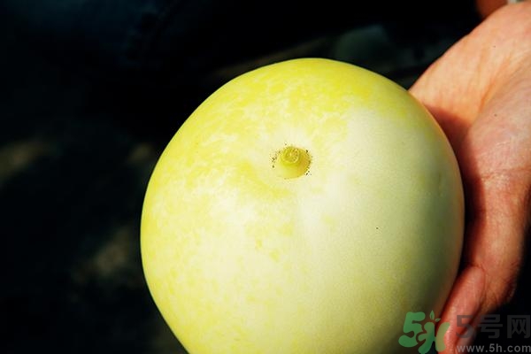 香瓜有酒味能吃嗎？香瓜有酒味吃了會怎樣？