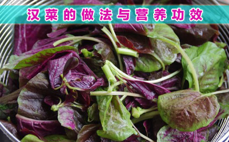 汗菜怎么炒？汗菜怎么吃