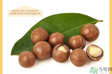 夏威夷果肉黏殼怎么辦？夏威夷果能放多久？