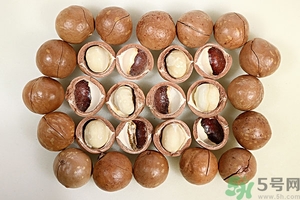 夏威夷果產(chǎn)地在哪里？夏威夷果為什么有奶香？