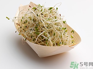 豆芽可以生吃嗎？豆芽炒粉條的家常做法