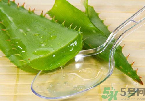 孕婦可以用蘆薈膠嗎？蘆薈膠孕婦可以用嗎？