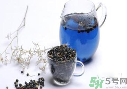 黑枸杞能用開水泡嗎？黑枸杞的沖泡方法