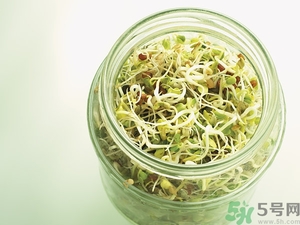 吃豆芽會(huì)胖嗎？豆芽會(huì)不會(huì)讓人長胖？