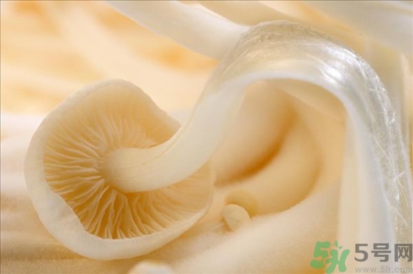 致癌金針菇怎么鑒別？如何選購金針菇？