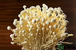 致癌金針菇怎么鑒別？如何選購金針菇？