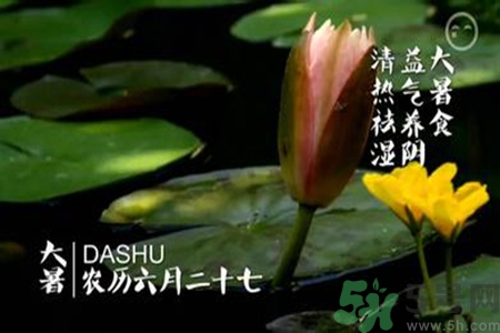 大暑是入伏嗎？大暑是最熱的時(shí)候嗎？