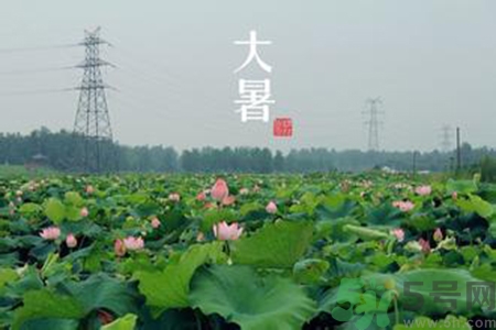 大暑吃什么養(yǎng)生？大暑吃什么好？