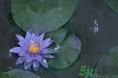 大暑吃什么養(yǎng)生？大暑吃什么好？