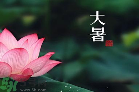 大暑為什么要吃羊肉？大暑吃羊肉的原因