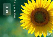 大暑是幾月幾日？大暑是什么意思？
