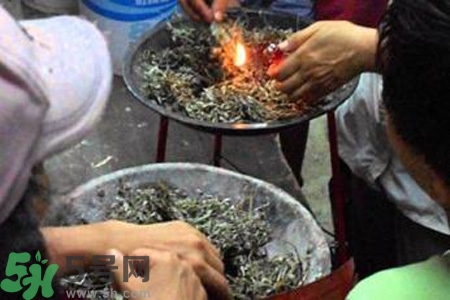 夏天可以用艾草驅(qū)蚊嗎？夏天可不可以用艾草驅(qū)蚊？