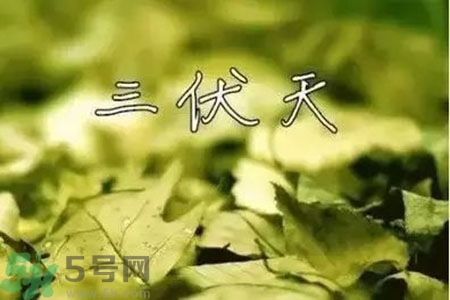 三伏天什么時(shí)候開始？三伏天是什么意思？