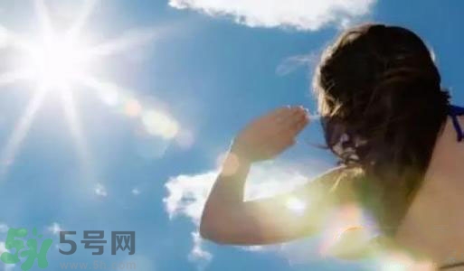 三伏天吃什么？三伏天傳統(tǒng)美食有哪些？