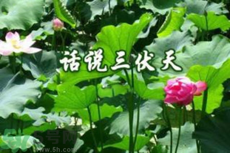 三伏天吃什么？三伏天傳統(tǒng)美食有哪些？