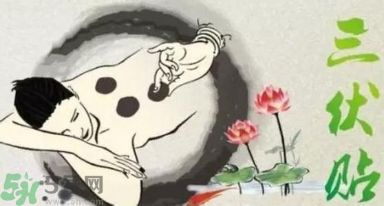 三伏貼的印子怎么去掉？三伏貼的印記多久才會消失？