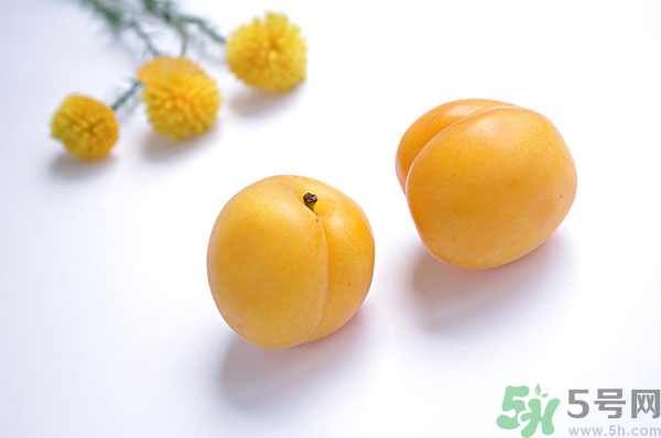 吃杏子能減肥嗎？杏子的功效與作用