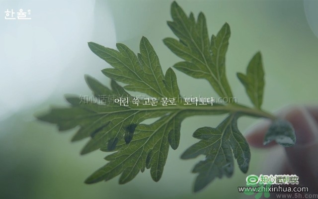 韓律艾草補水鎮(zhèn)靜噴霧怎么樣？好用嗎？