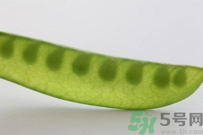 煮豌豆怎么做好吃？煮豌豆的做法