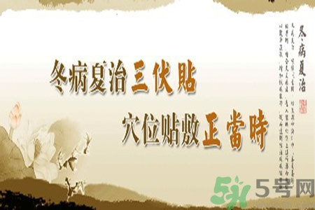 腎病可以貼三伏貼嗎？腎病三伏貼貼哪里？