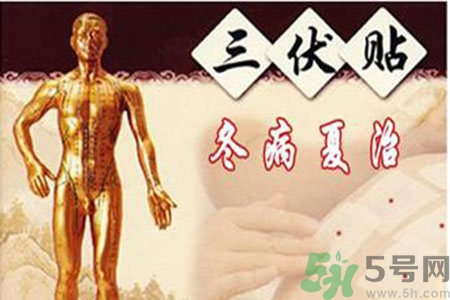 胃病可以貼三伏貼嗎？胃病貼三伏貼貼哪里？