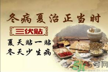 胃病可以貼三伏貼嗎？胃病貼三伏貼貼哪里？