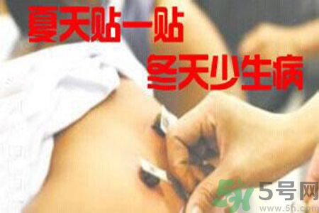 腰痛貼三伏貼有用嗎？腰痛三伏貼貼哪個(gè)穴位？