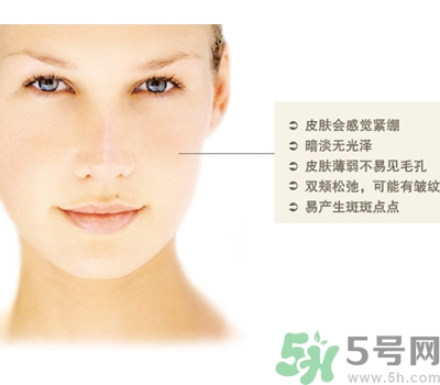 干性皮膚用什么洗面奶？干性皮膚該怎么保養(yǎng)？