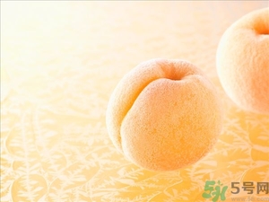 杏子不太熟能吃嗎？杏子不太熟怎么辦？