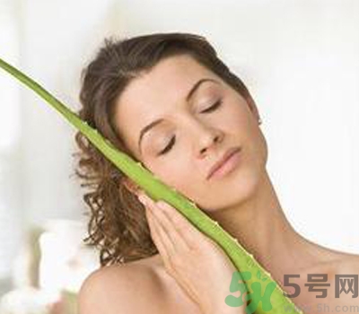 蘆薈膠會堵塞毛孔嗎？蘆薈膠應(yīng)該怎么用？