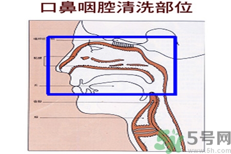 鼻炎能用生理鹽水清理鼻腔嗎？鼻炎能不能用生理鹽水清理鼻腔？
