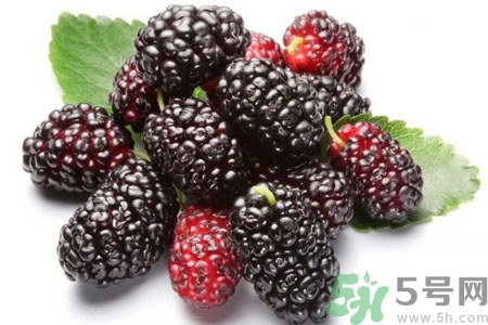 桑葚怎么洗？桑葚怎么保存？