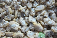 花蛤的營養(yǎng)價(jià)值有哪些？生取蛤肉的方法是什么？