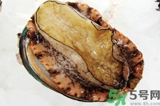 鮑魚如何挑選？鮑魚如何保存？