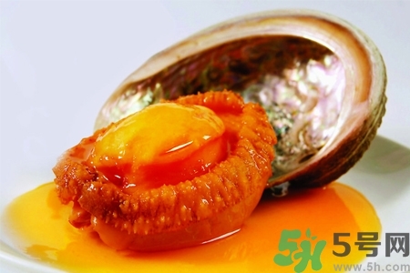 鮑魚如何挑選？鮑魚如何保存？