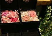 野獸派的花多少錢？野獸派的花哪里買？
