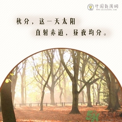 立秋是秋分嗎？立秋和秋分的區(qū)別？