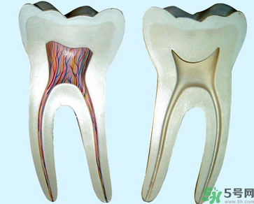 牙齒根管治療多少錢？根管治療一顆要多少錢？