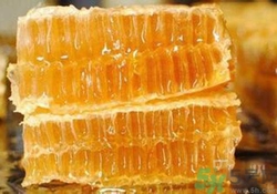 蜂膠是什么東西？蜂膠可以長期服用嗎？