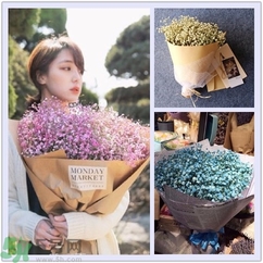 七夕送女朋友什么花？七夕送女朋友花送幾朵？