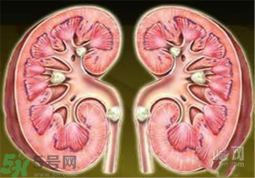 慢性腎炎能治好嗎？慢性腎炎能活多久？