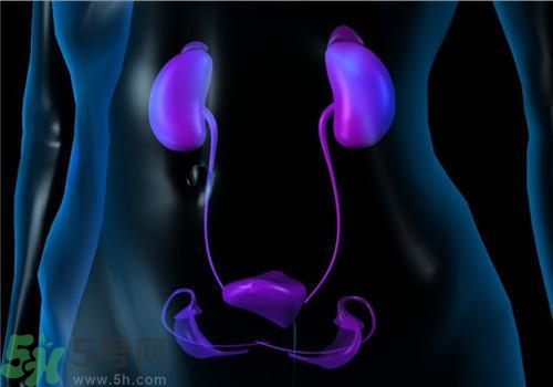 慢性腎炎能治好嗎？慢性腎炎能活多久？