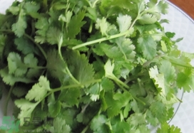 香菜怎么保存不會(huì)爛?香菜怎么保存能放長久?