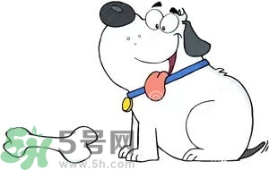 七夕單身狗怎么過？單身怎么過七夕？