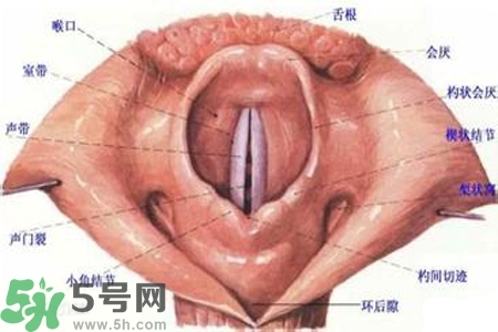 慢性咽炎的發(fā)病因素？慢性咽炎的并發(fā)癥有哪些？