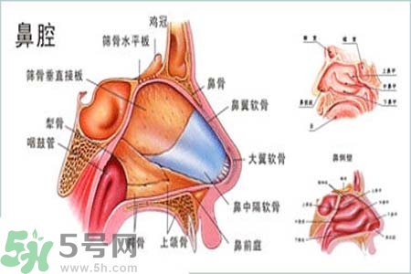 鼻竇炎的護(hù)理措施？鼻竇炎的飲食護(hù)理？
